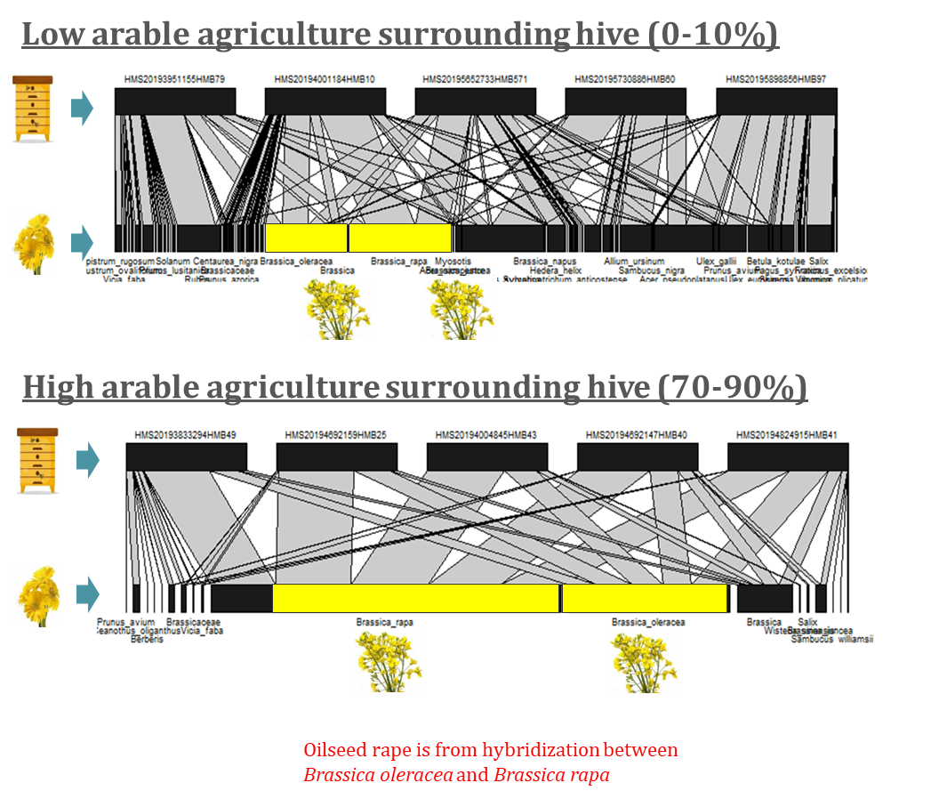 NHMS arable agriculture surround hive